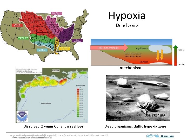 Hypoxia Dead zone mechanism Dissolved Oxygen Conc. on seafloor Dead organisms, Baltic hypoxia zone