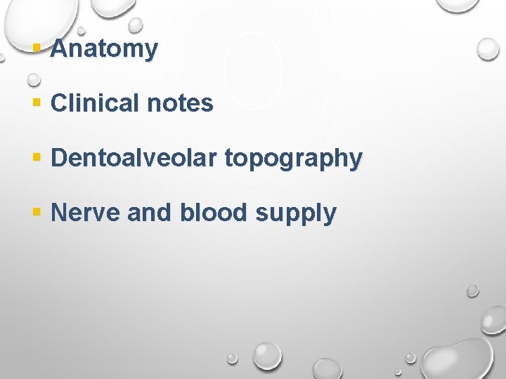 § Anatomy § Clinical notes § Dentoalveolar topography § Nerve and blood supply § Anatomy § Clinical notes § Dentoalveolar topography § Nerve and blood supply