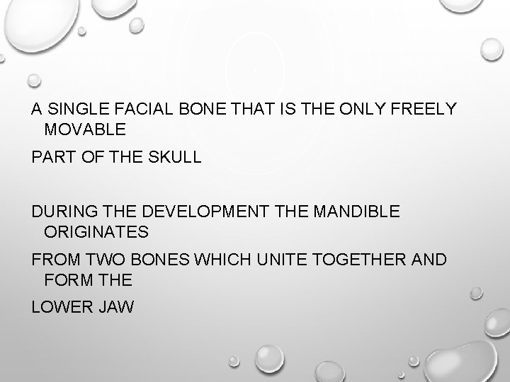 A SINGLE FACIAL BONE THAT IS THE ONLY FREELY MOVABLE PART OF THE SKULL