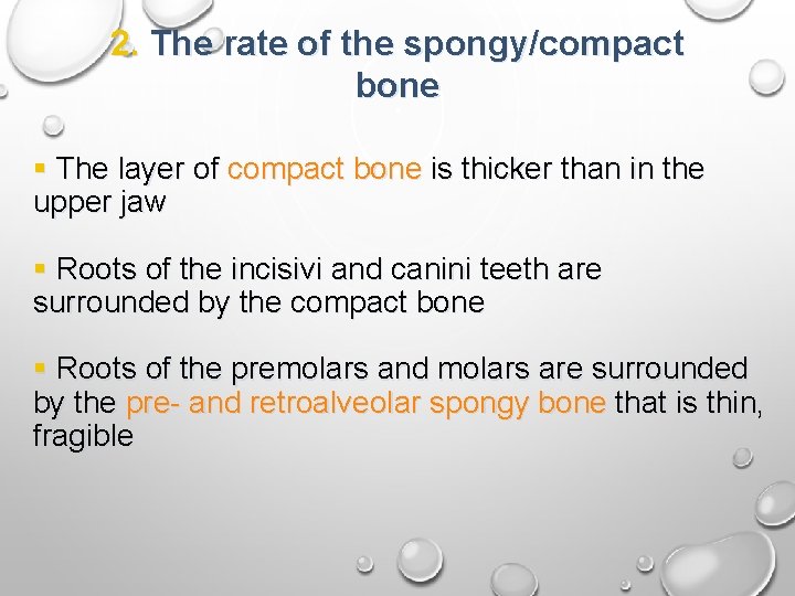 2. The rate of the spongy/compact bone § The layer of compact bone is