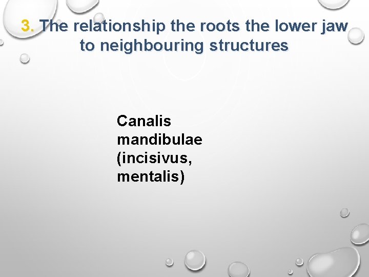 3. The relationship the roots the lower jaw to neighbouring structures Canalis mandibulae (incisivus,