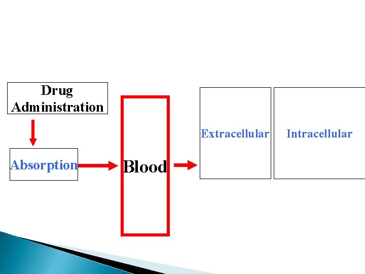 Drug Administration Extracellular Absorption Blood Intracellular 