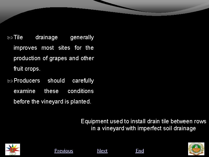  Tile drainage generally improves most sites for the production of grapes and other