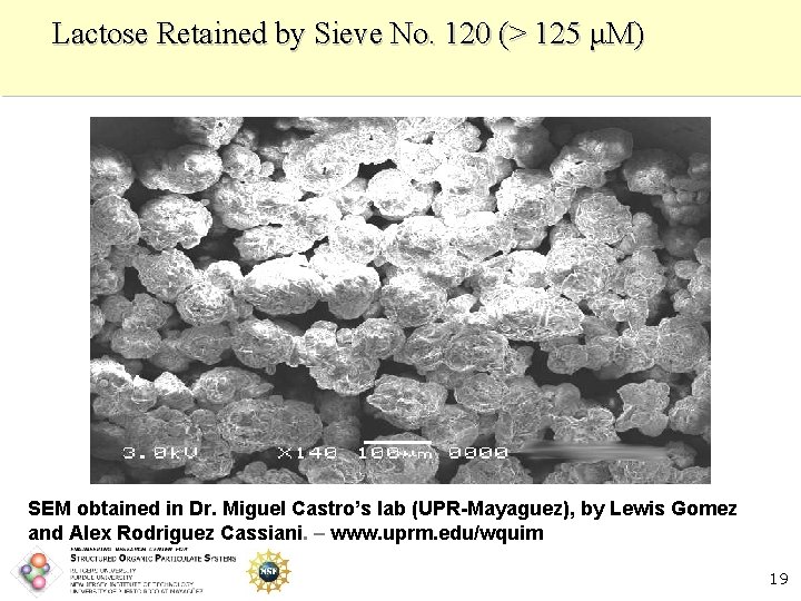 Lactose Retained by Sieve No. 120 (> 125 μM) SEM obtained in Dr. Miguel
