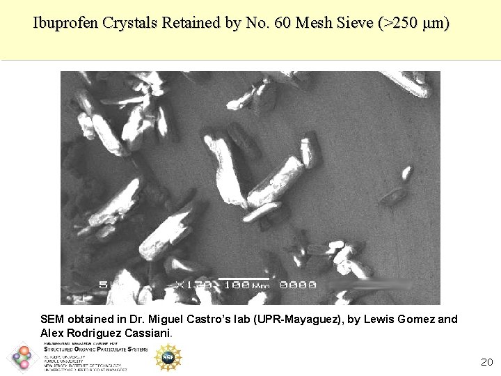Ibuprofen Crystals Retained by No. 60 Mesh Sieve (>250 μm) SEM obtained in Dr.