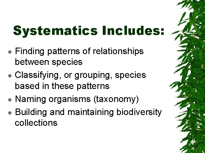 Systematics Includes: Finding patterns of relationships between species Classifying, or grouping, species based in