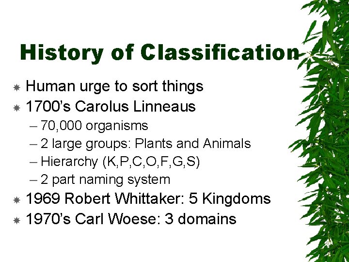History of Classification Human urge to sort things 1700’s Carolus Linneaus – 70, 000