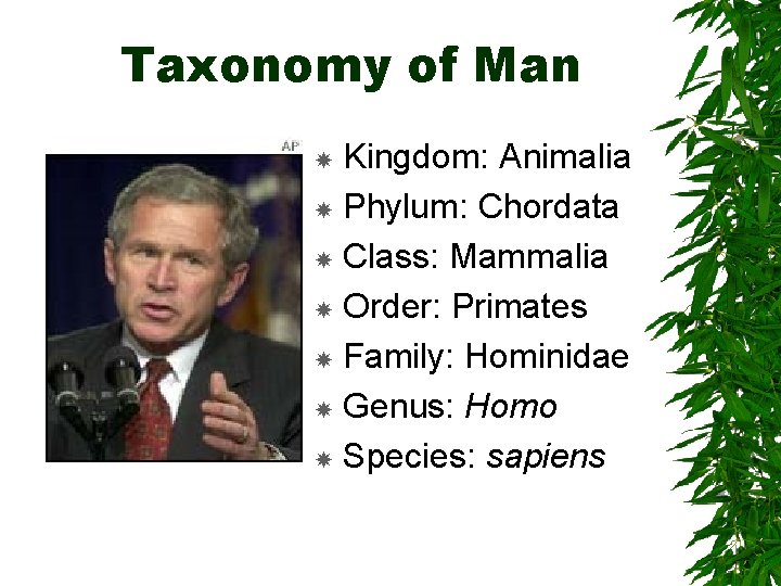 Taxonomy of Man Kingdom: Animalia Phylum: Chordata Class: Mammalia Order: Primates Family: Hominidae Genus: