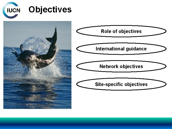 Objectives Role of objectives International guidance Network objectives Site-specific objectives 