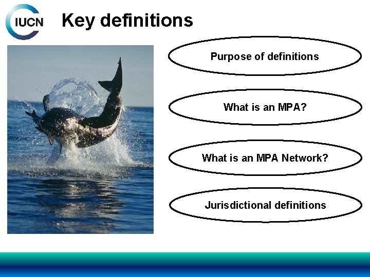 Key definitions Purpose of definitions What is an MPA? What is an MPA Network?