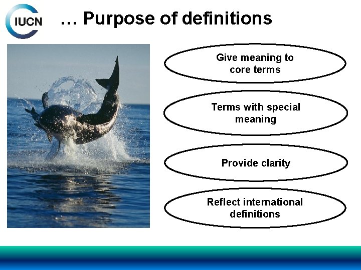 … Purpose of definitions Give meaning to core terms Terms with special meaning Provide