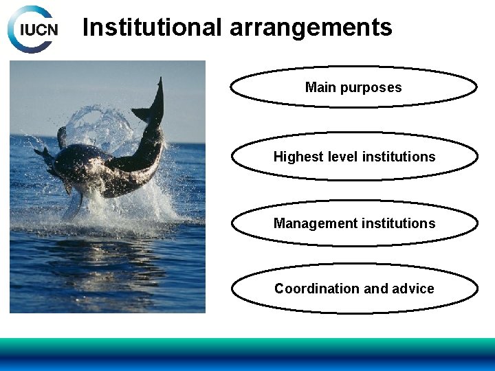 Institutional arrangements Main purposes Highest level institutions Management institutions Coordination and advice 