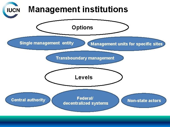 Management institutions Options Single management entity Management units for specific sites Transboundary management Levels