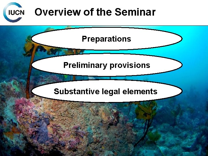 Overview of the Seminar Preparations Preliminary provisions Substantive legal elements 