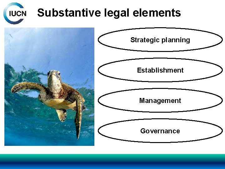 Substantive legal elements Strategic planning Establishment Management Governance 