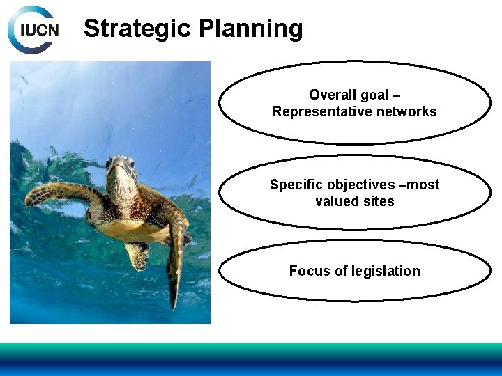 Strategic Planning Overall goal – Representative networks Specific objectives –most valued sites Focus of