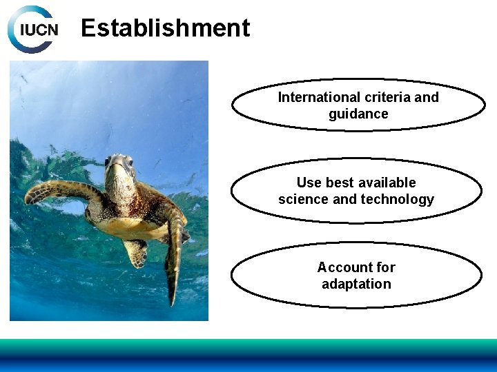 Establishment International criteria and guidance Use best available science and technology Account for adaptation