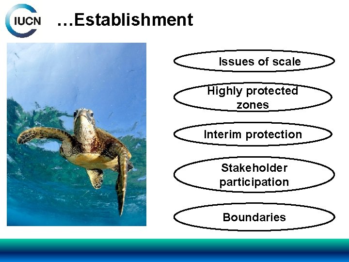 …Establishment Issues of scale Highly protected zones Interim protection Stakeholder participation Boundaries 