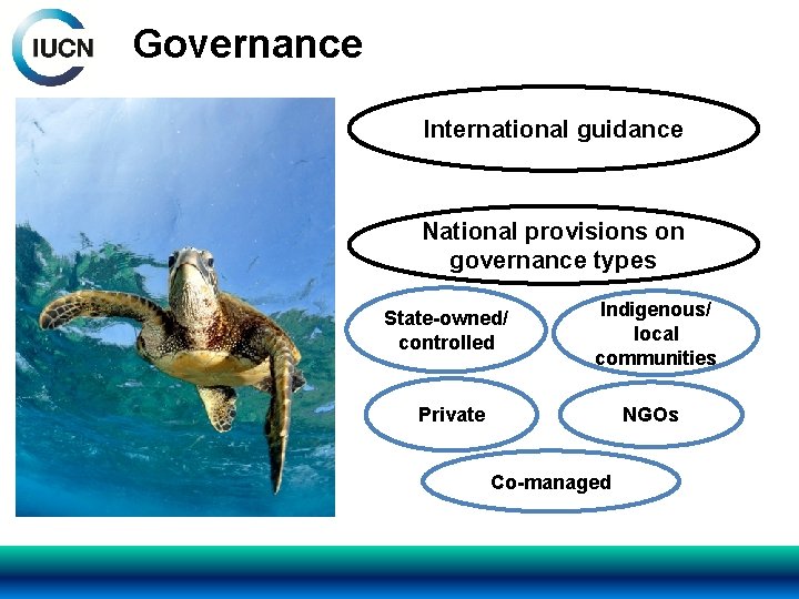 Governance International guidance National provisions on governance types State-owned/ controlled Indigenous/ local communities Private