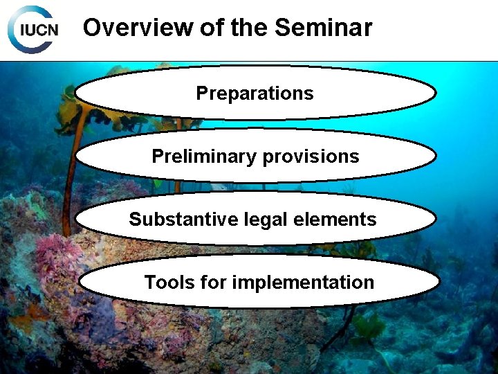 Overview of the Seminar Preparations Preliminary provisions Substantive legal elements Tools for implementation 