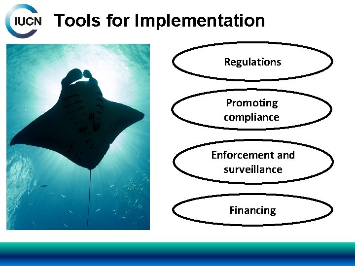Tools for Implementation Regulations Promoting compliance Enforcement and surveillance Financing 