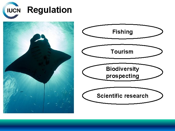 Regulation Fishing Tourism Biodiversity prospecting Scientific research 