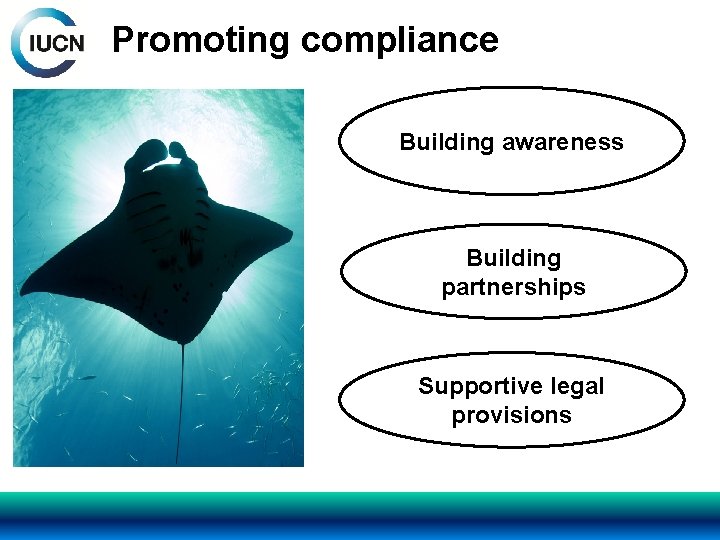 Promoting compliance Building awareness Building partnerships Supportive legal provisions 