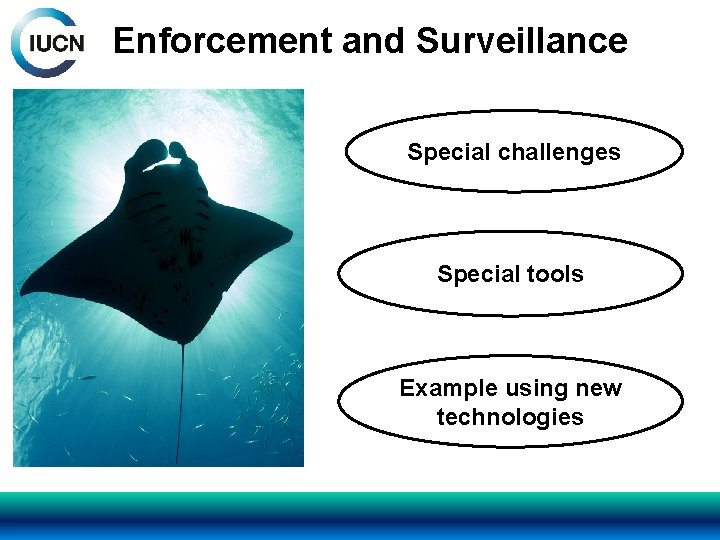 Enforcement and Surveillance Special challenges Special tools Example using new technologies 