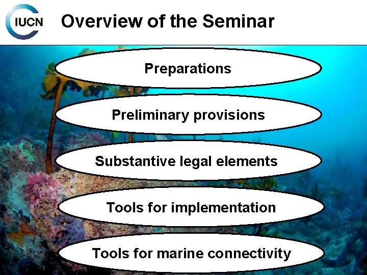 Overview of the Seminar Preparations Preliminary provisions Substantive legal elements Tools for implementation Tools