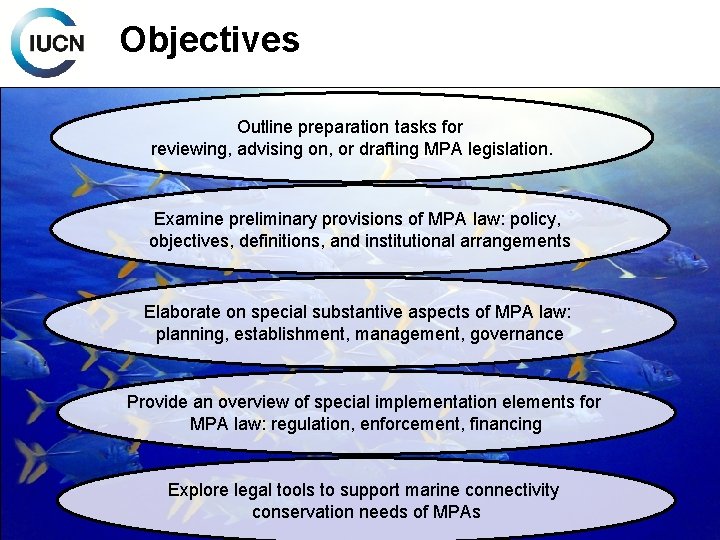 Objectives Outline preparation tasks for reviewing, advising on, or drafting MPA legislation. Examine preliminary