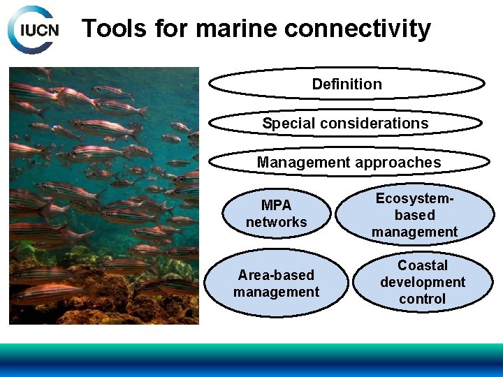 Tools for marine connectivity Definition Special considerations Management approaches MPA networks Area-based management Ecosystembased