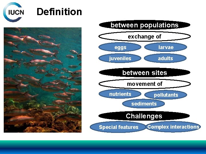 Definition between populations exchange of eggs larvae juveniles adults between sites movement of nutrients
