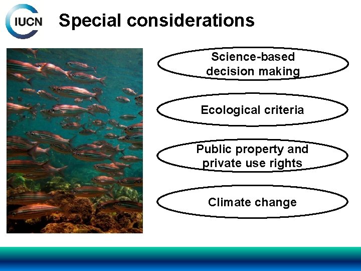 Special considerations Science-based decision making Ecological criteria Public property and private use rights Climate