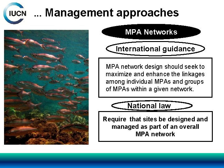 . . . Management approaches MPA Networks International guidance MPA network design should seek