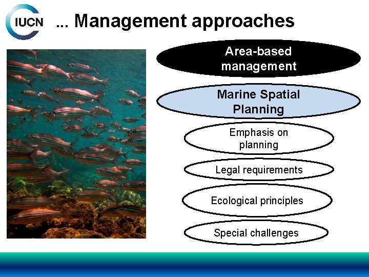 . . . Management approaches Area-based management Marine Spatial Planning Emphasis on planning Legal