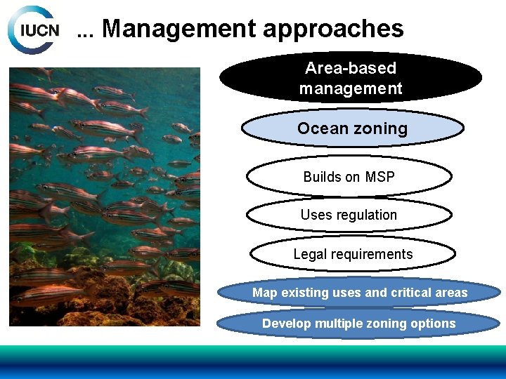 . . . Management approaches Area-based management Ocean zoning Builds on MSP Uses regulation