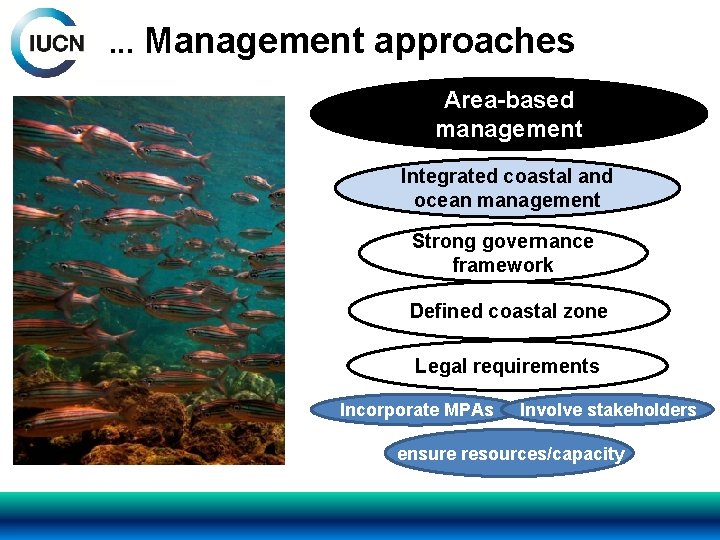 . . . Management approaches Area-based management Integrated coastal and ocean management Strong governance