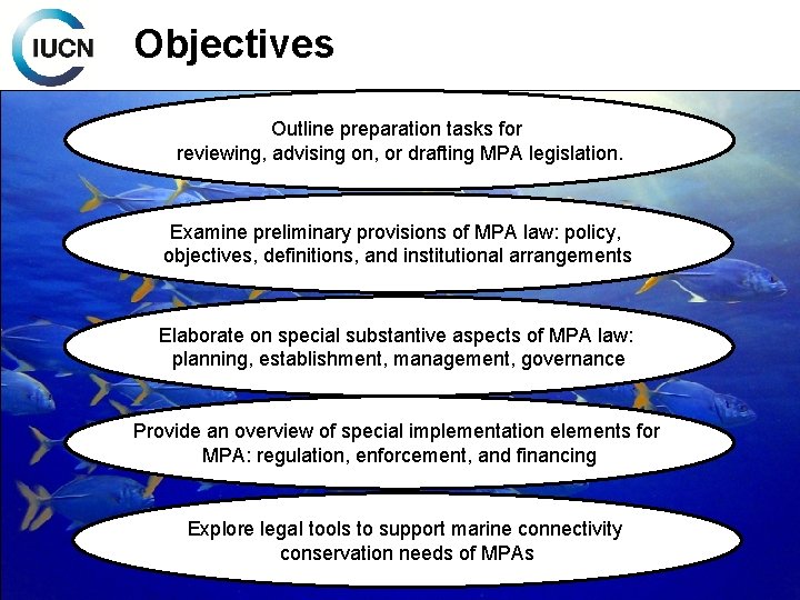 Objectives Outline preparation tasks for reviewing, advising on, or drafting MPA legislation. Examine preliminary