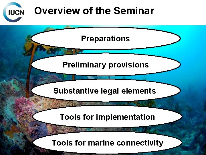 Overview of the Seminar Preparations Preliminary provisions Substantive legal elements Tools for implementation Tools