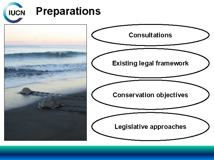 Preparations Consultations Existing legal framework Conservation objectives Legislative approaches 