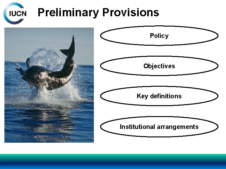 Preliminary Provisions Policy Objectives Key definitions Institutional arrangements 