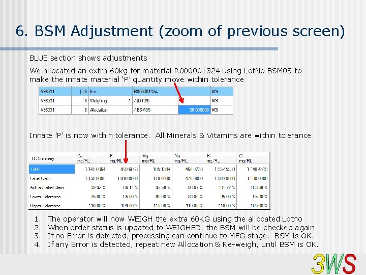 6. BSM Adjustment (zoom of previous screen) BLUE section shows adjustments We allocated an