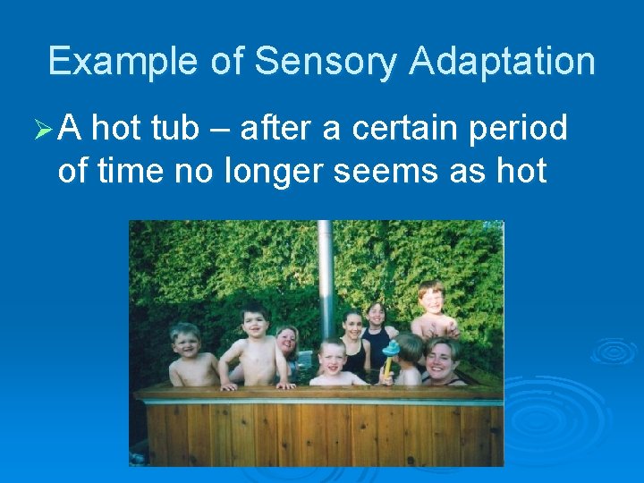 Example of Sensory Adaptation Ø A hot tub – after a certain period of