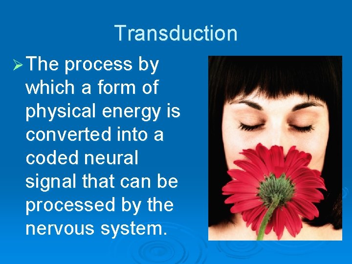 Transduction Ø The process by which a form of physical energy is converted into