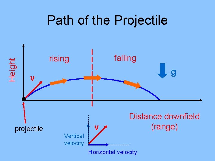 Height Path of the Projectile falling rising g v projectile v Distance downfield (range)