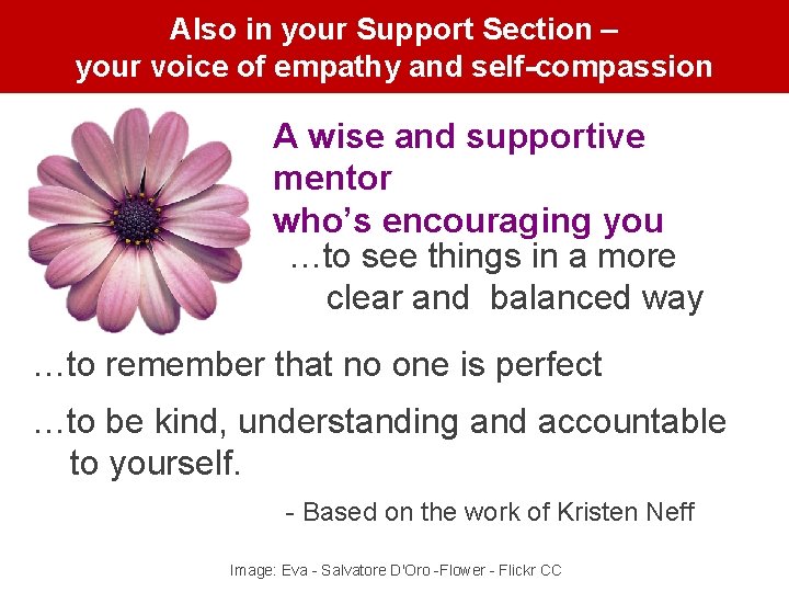 Also in your Support Section – your voice of empathy and self-compassion A wise