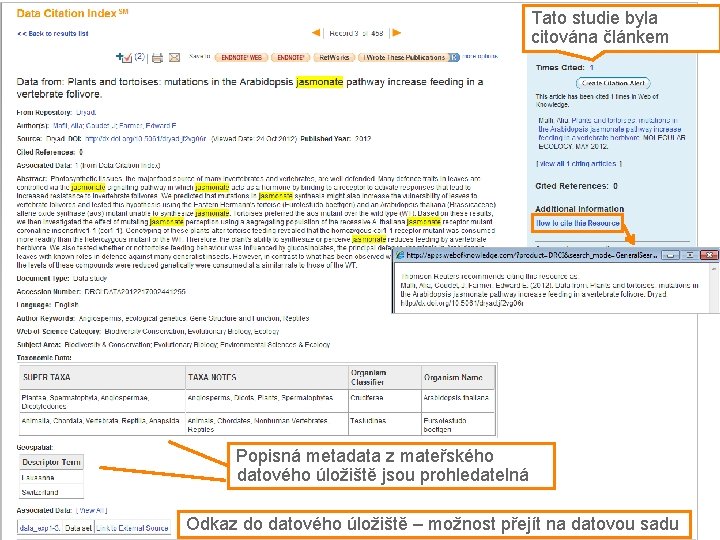 Tato studie byla citována článkem Popisná metadata z mateřského datového úložiště jsou prohledatelná 31