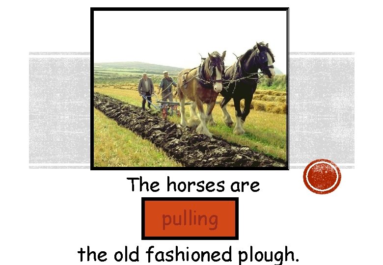 The horses are pulling the old fashioned plough. 