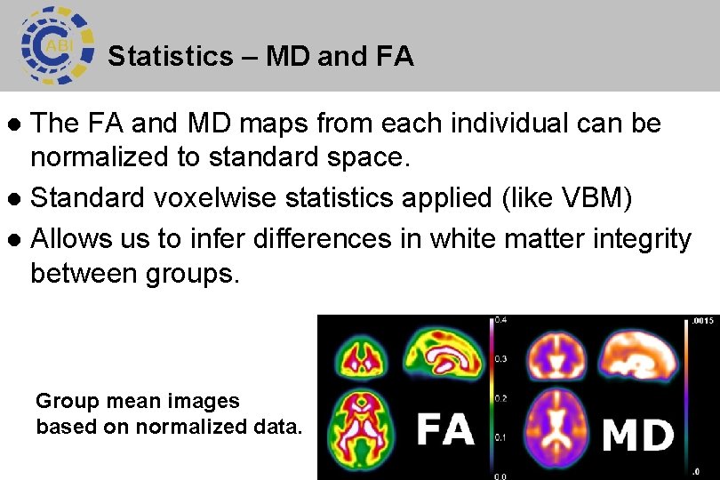 Statistics – MD and FA The FA and MD maps from each individual can