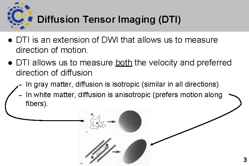 Diffusion Tensor Imaging (DTI) l l DTI is an extension of DWI that allows